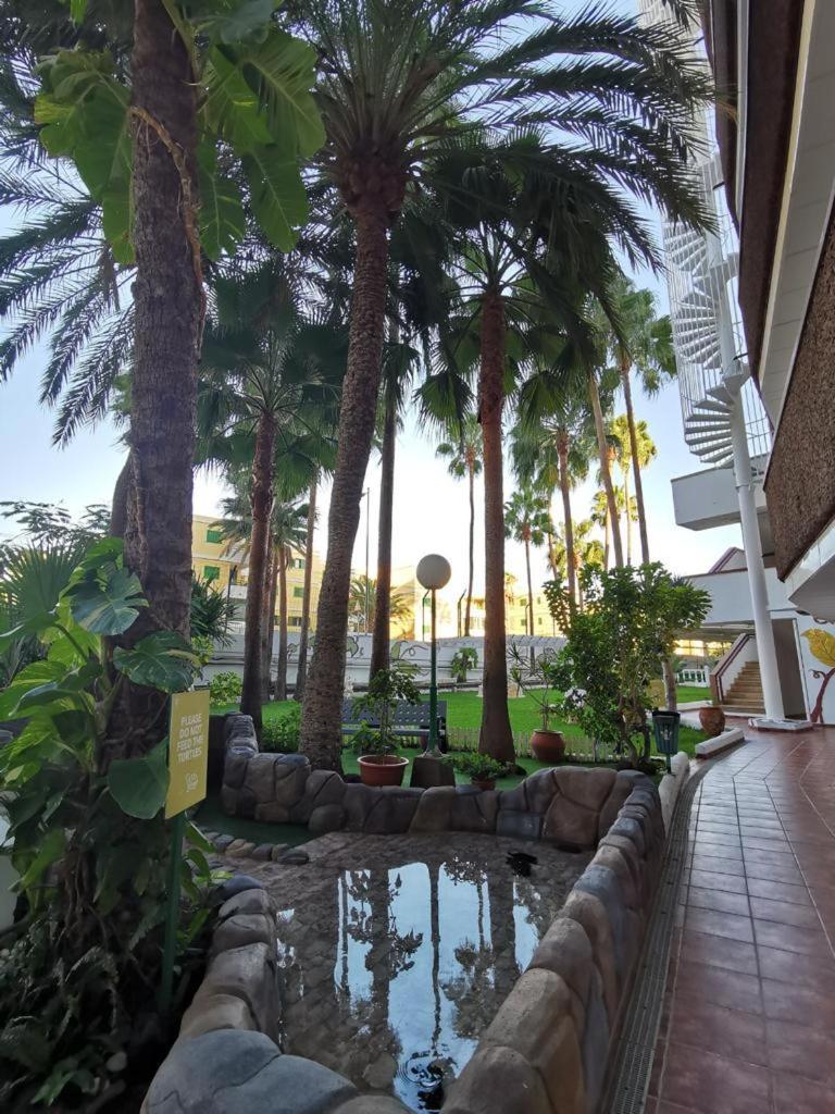 Vanilla Milkshake Apartment Playa del Inglés Eksteriør bilde